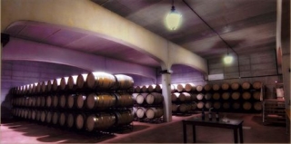 Donde descansan las barricas